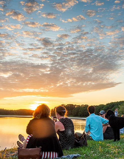 placeholder image (10)